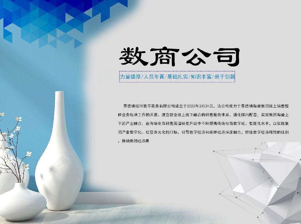景德(dé)鎮紅(hong)葉數(shu)字商(shang)務(wu)有(yǒu)限(xian)公(gōng)司